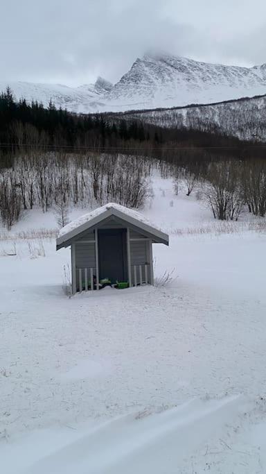 Skogstad Ferie Og Fritid Casa de férias *